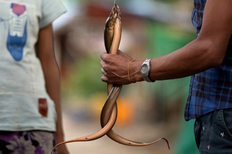 A man sells eels caught for a meal amid a lockdown to  slow the spread of coronavirus, in a slum area of Yangon, Myanmar. REUTERS/Shwe Paw Mya Tin  